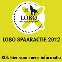 spaaractie